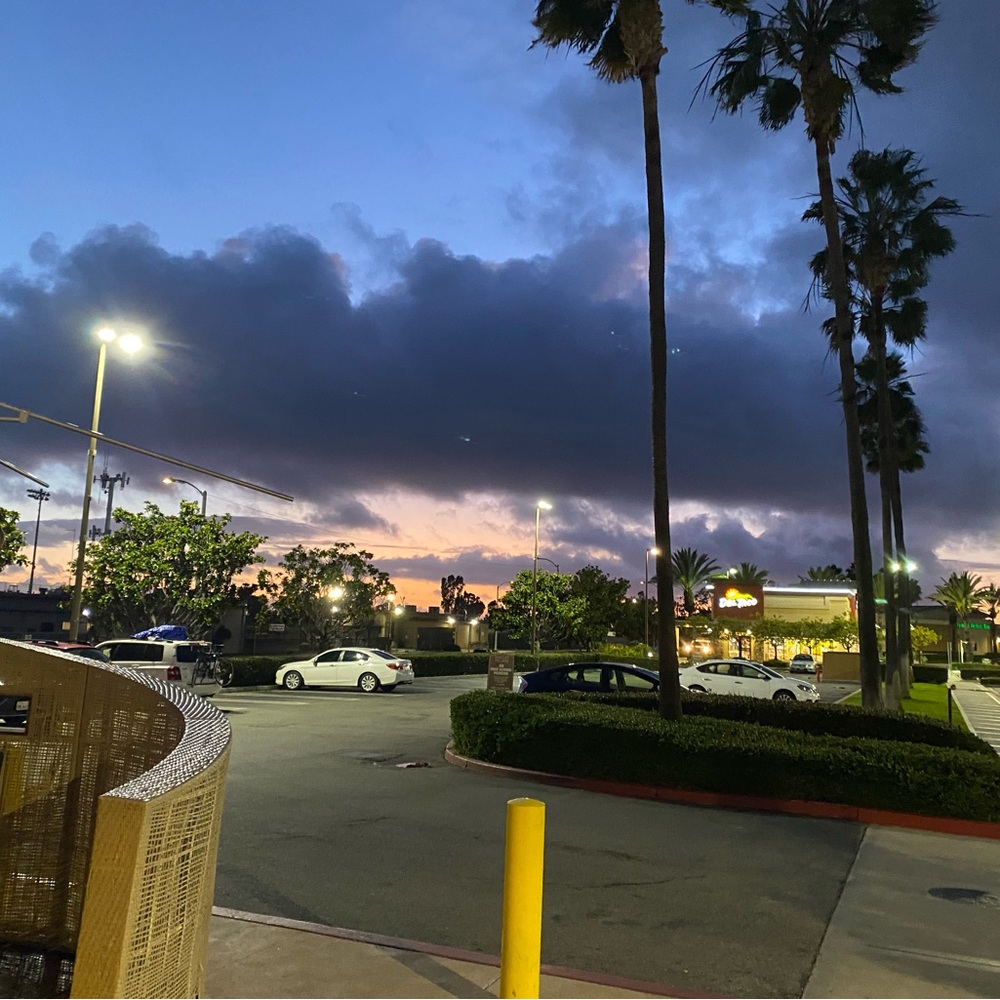 Meet your Posher, Rory